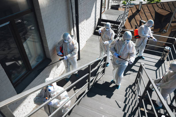 Mold Odor Removal Services in Sayville, NY